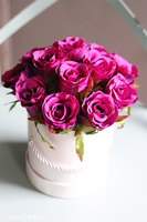 flowerbox z różami, Fuschia Mercedes, wys.22cm