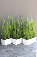 Greta Summer Tall, kompozycja z traw w białej donicy z kłosami, wys.100cm 