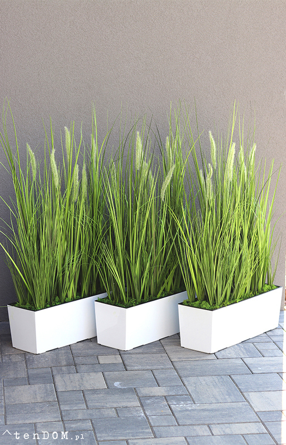 Greta Summer Tall, kompozycja z traw w białej donicy z kłosami, wys.100cm 