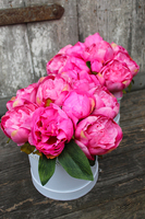 kompozycja kwiatowa / bukiet Flowerbox Różowa Piwonia, wys.22cm