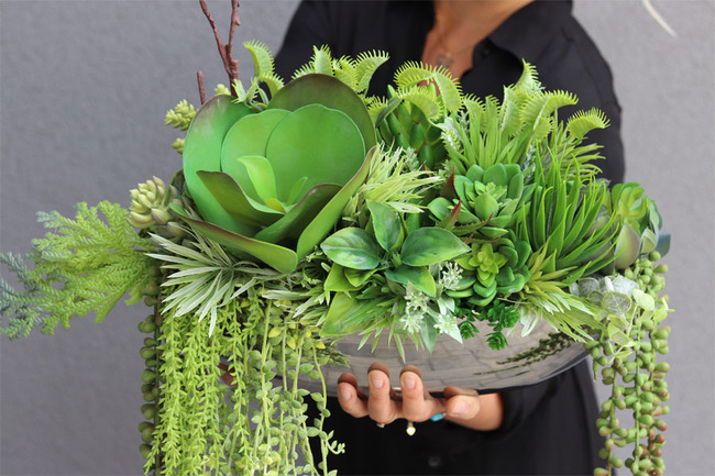 Anya Laos, piękna kompozycja Sukulenty w lustrzanej donicy, wym.25x48cm