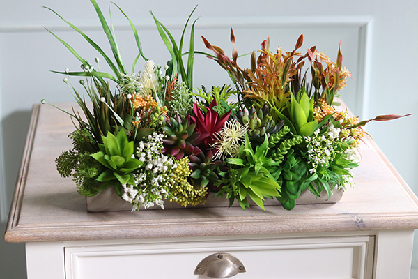 kompozycja sukulenty w długiej donicy, Hektor D, dł.48cm 