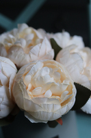 Ecru Peonies, flowerbox z kwiatami w kolorze jasnej brzoskwini, wym.28cm