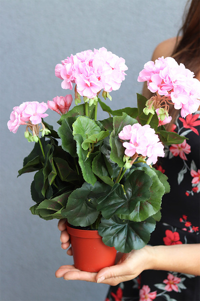 doniczkowa pelargonia Jasnoróżowa, wysokiej jakości sztuczne kwiaty, wys.36cm