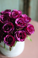 flowerbox z różami, Fuschia Mercedes, wys.22cm