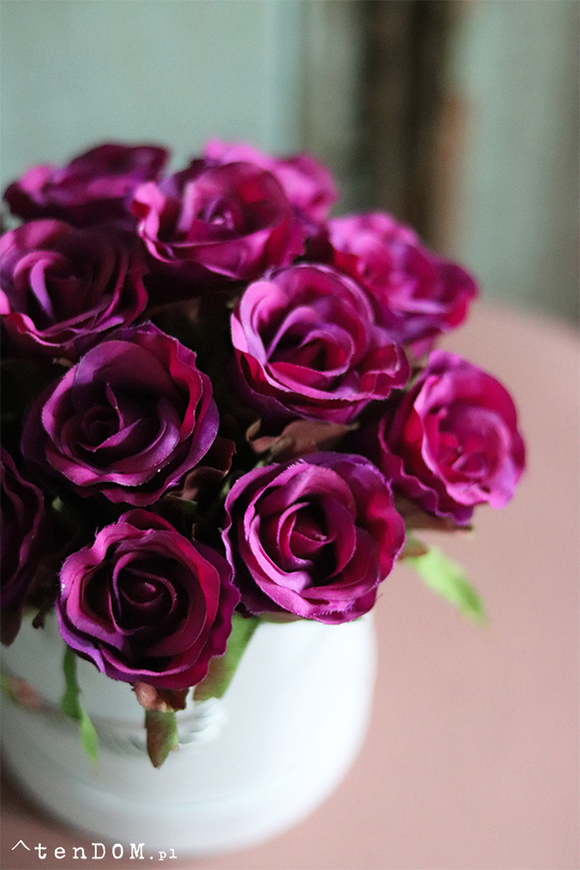 flowerbox z różami, Fuschia Mercedes, wys.22cm