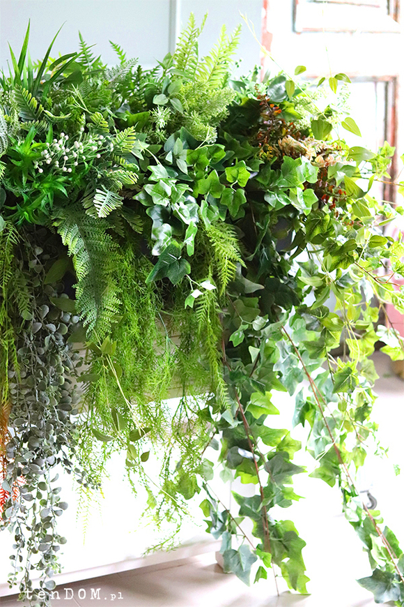 Boggotina, ekskluzywna kompozycja roślinna w donicy na balkon, wym.120x120cm