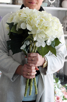 bukiet ecru hortensja, 5szt. wys.50cm 