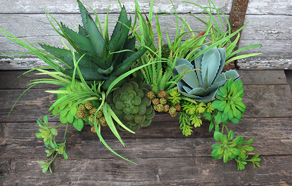 Anya 2, piękna kompozycja Sukulenty w lustrzanej donicy, wys.38cm