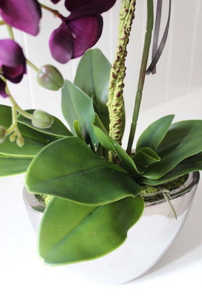 Terranova zjawiskowy storczyk w srebrnej donicy, wys.56cm