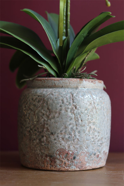 elegancki storczyk w ozdobnej donicy, Verona wys.61cm