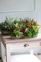 kompozycja sukulenty w długiej donicy, Hektor D, dł.48cm 