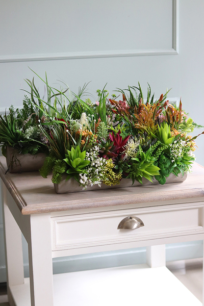 kompozycja sukulenty w długiej donicy, Hektor D, dł.48cm