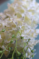 bukiet tajskiej orchidei, Multikolor, kremowa, 12szt, dł.67cm 