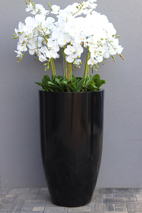 Fiberglass Black Grande Felice, ogromny storczyk w donicy, wys.174cm