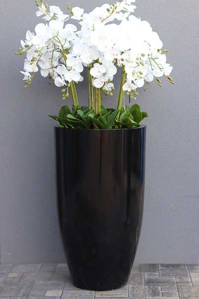 Fiberglass Black Grande Felice, ogromny storczyk w donicy, wys.174cm