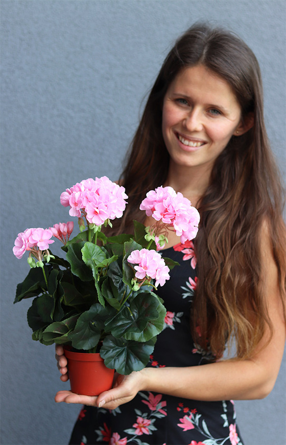 doniczkowa pelargonia Jasnoróżowa, wysokiej jakości sztuczne kwiaty, wys.36cm