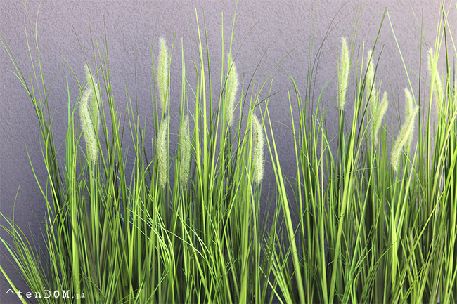 Greta Summer Tall, kompozycja z traw w białej donicy z kłosami, wys.100cm 