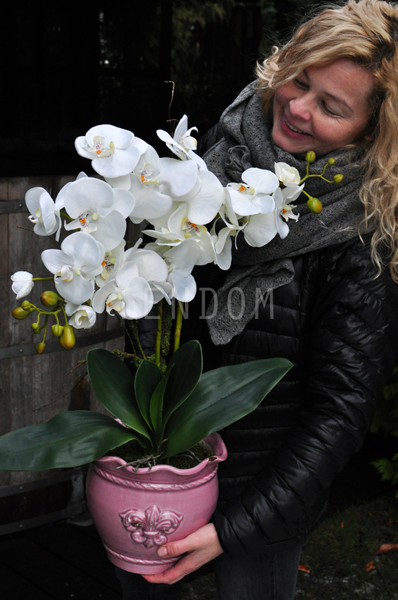 sztuczny storczyk Tenesse Pink w kolorze naturalnej bieli, wys. ok. 66cm