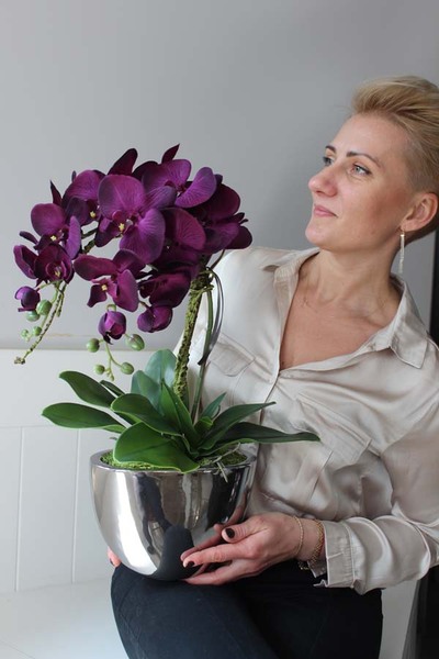 Terranova zjawiskowy storczyk w srebrnej donicy, wys.56cm