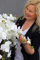 bardzo duży storczyk Black Grande w donicy, wys.120cm