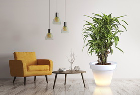 Grande donica podświetlana światło ciepłe, 88x75cm