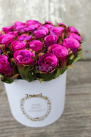 box / bukiet Flowerbox Premium Mercedes, wys.16cm