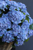 bardzo bogaty kosz hortensji, Blue Provance, wym. 54x54cm  