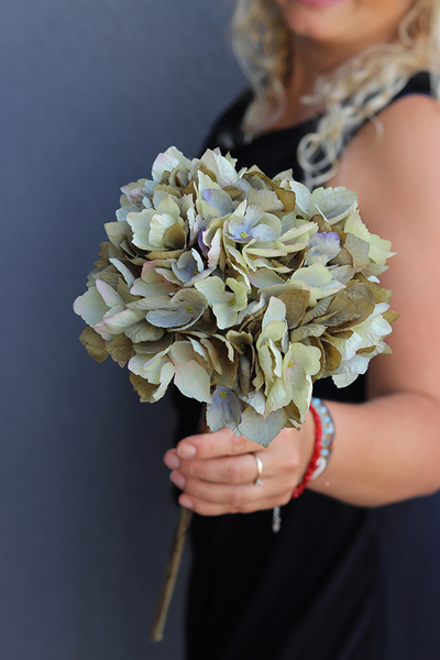 gałązka / sztuczna Hortensja, zielona, dł.52cm,1szt. 