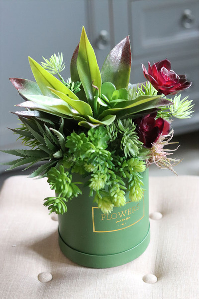 Alberto, flowerbox z sukulentów w zielonym pudełku, wys.36cm