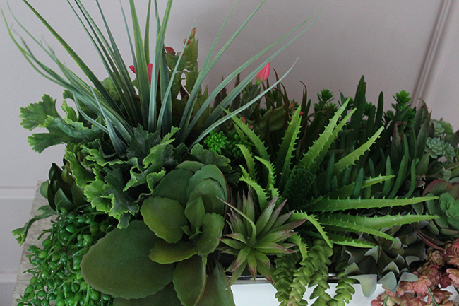 Anya Silver&White, kompozycja z sukulentów, wys.38cm