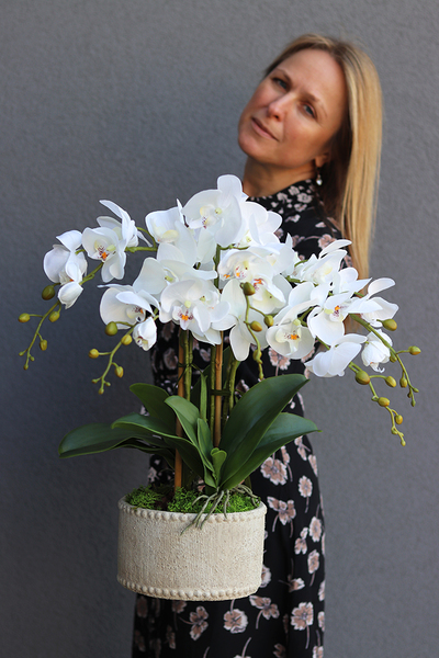 Kulena, sztuczny storczyk w etno donicy, wys.50cm 