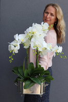 gumowy storczyk Silver Lalina w cynowanym naczyniu, wys.65cm