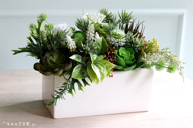 Japano 2, sukulenty w białej ceramicznej donicy, wys.24cm