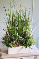 kompozycja z trawami w białej donicy, Felano, wys.76cm