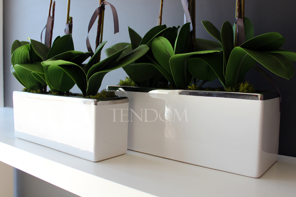 sztuczny storczyk Leo Big, wys.64cm 