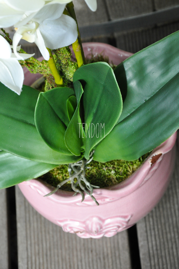 sztuczny storczyk Tenesse Pink w kolorze naturalnej bieli, wys. ok. 66cm