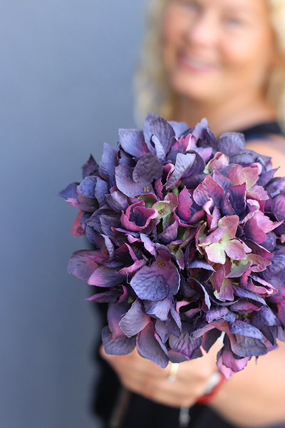 gałązka / sztuczna Hortensja, fioletowa, dł.52cm,1szt. 