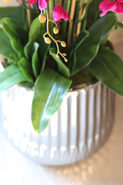 Fuksja Silverro, ogromny, podłogowy storczyk w lustrzanej donicy, wys.116cm