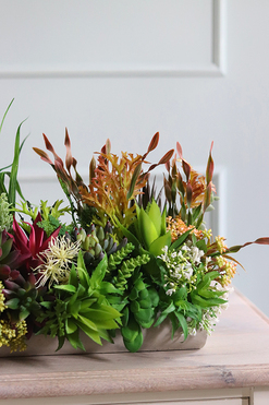 kompozycja sukulenty w długiej donicy, Hektor D, dł.48cm 