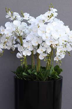 Fiberglass Black Grande Felice, ogromny storczyk w donicy, wys.174cm