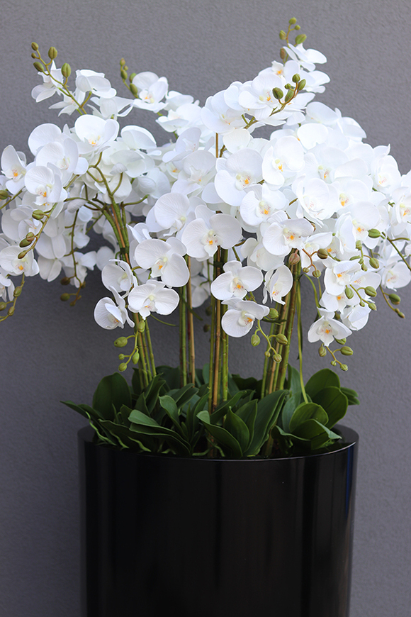 Fiberglass Black Grande Felice, ogromny storczyk w donicy, wys.174cm