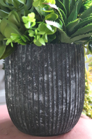 kompozycja sukulenty w czarnym naczyniu, Ysella, wys.40cm 