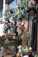 Jasmina Brama Kwiatowa, Flowers Arch, zachwycająca dekoracja kwiatowa, wym.243x232cm