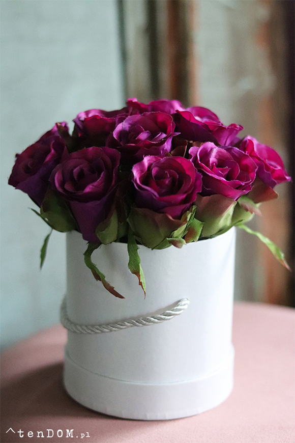 flowerbox z różami, Fuschia Mercedes, wys.22cm