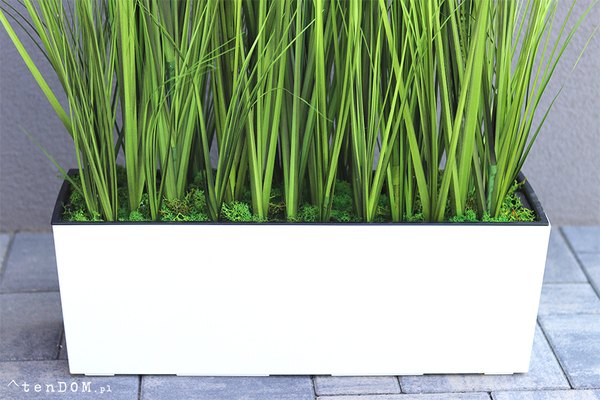 Greta Summer Tall, kompozycja z traw w białej donicy z kłosami, wys.100cm 