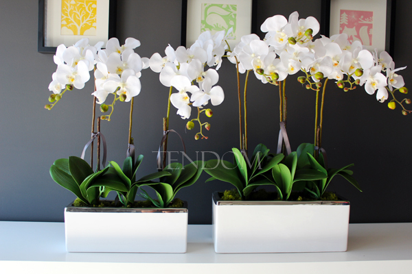 sztuczny storczyk Leo Big, wys.64cm 