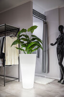 Della donica podświetlana światło zimne 49x90cm