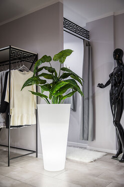 Della donica podświetlana światło zimne 49x90cm