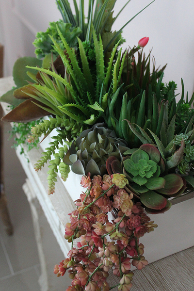 Anya Silver&White, kompozycja z sukulentów, wys.38cm